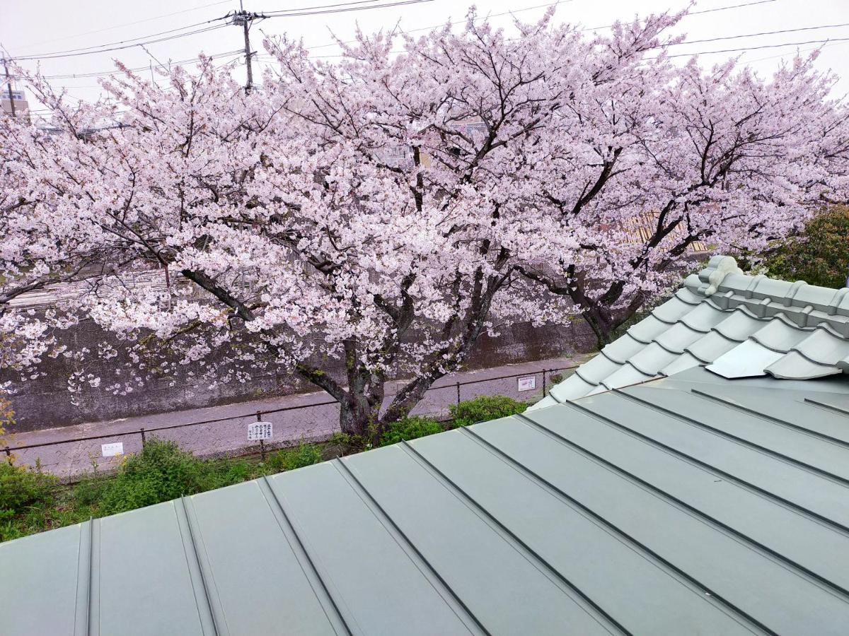Guesthouse Sakichi Beppu Exterior photo
