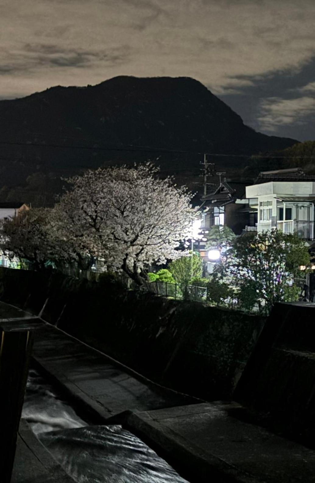 Guesthouse Sakichi Beppu Exterior photo