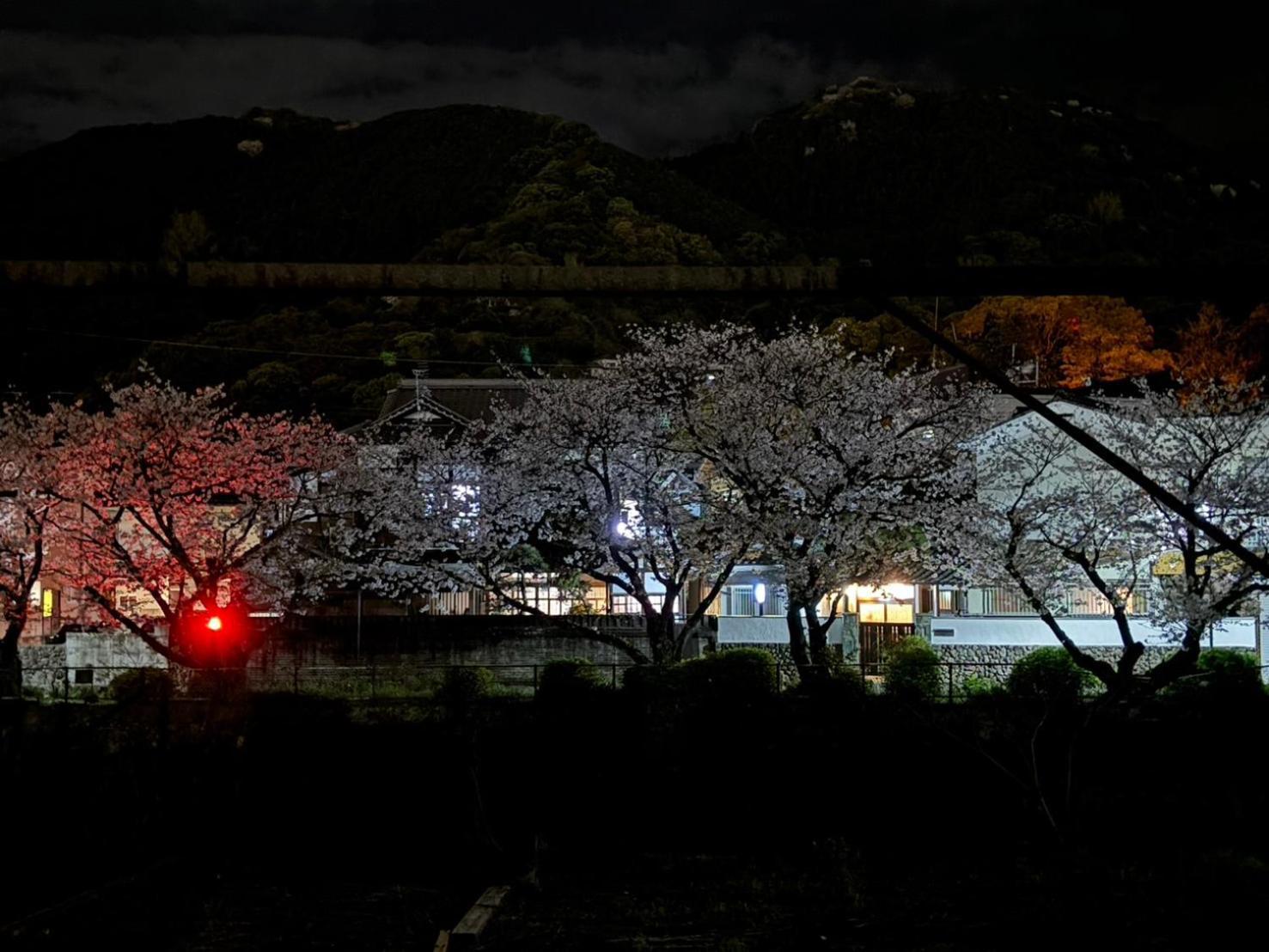 Guesthouse Sakichi Beppu Exterior photo