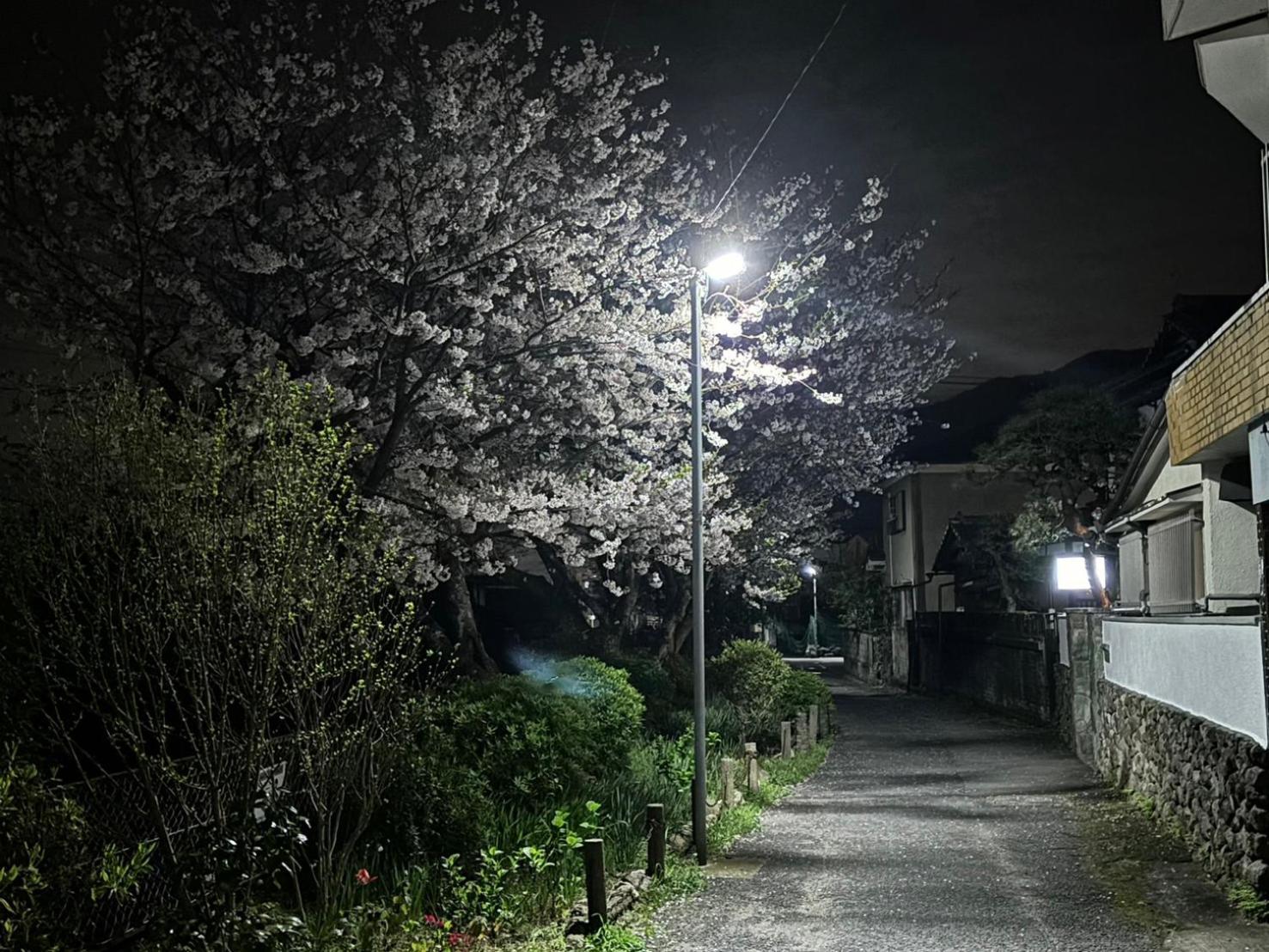 Guesthouse Sakichi Beppu Exterior photo