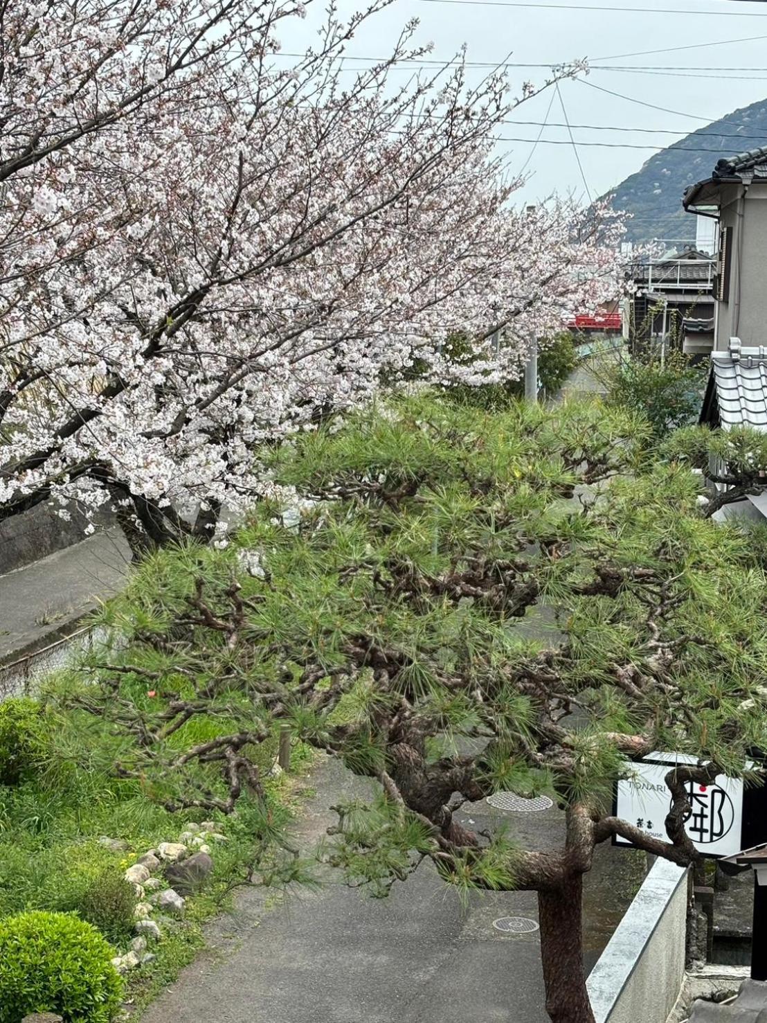 Guesthouse Sakichi Beppu Exterior photo
